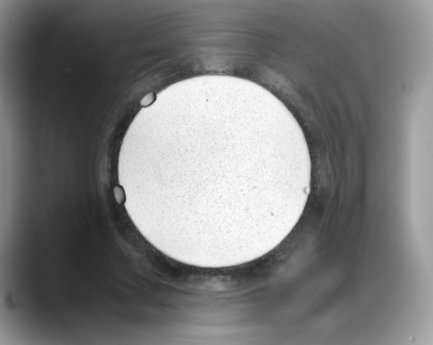 X0000088150683200706111444