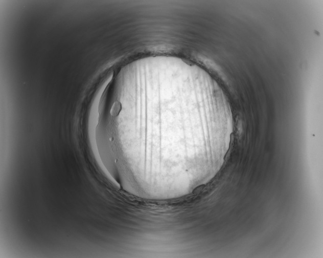 X0000088150684200706111444