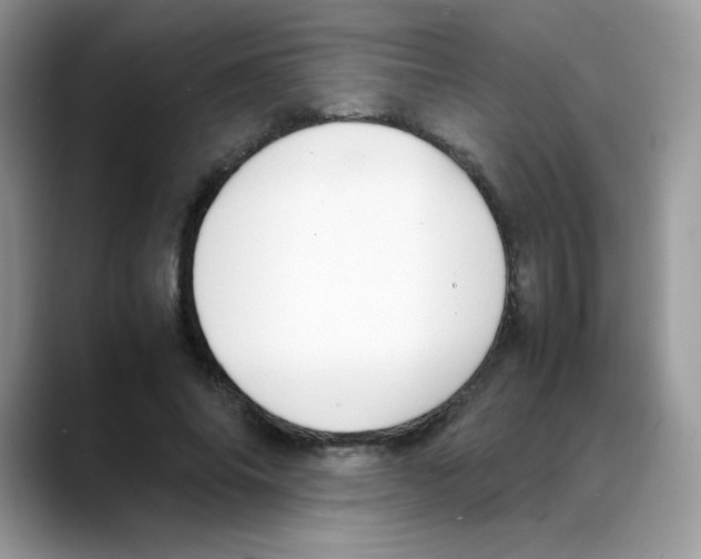 X0000088150686200706111444