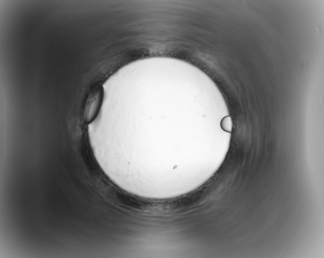 X0000088150691200706111444