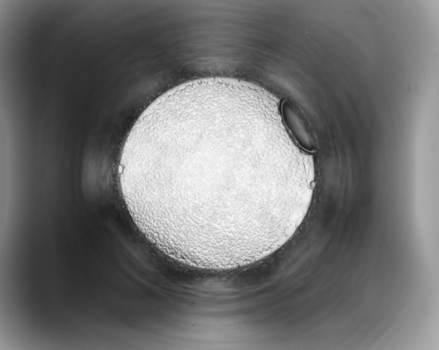 X0000088150692200706111444