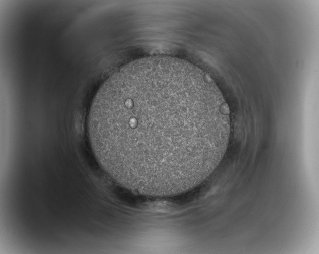 X0000088150695200706111444