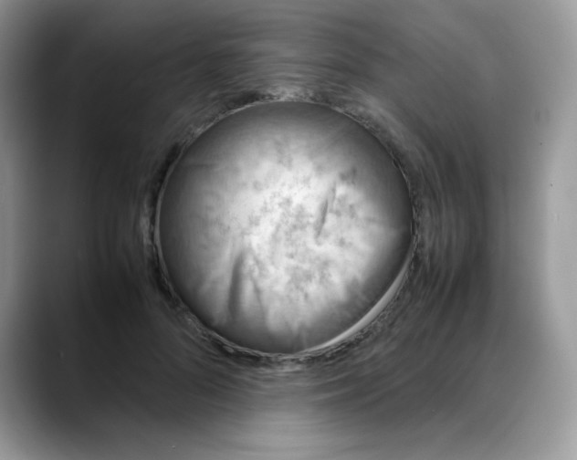 X0000088150696200706111444