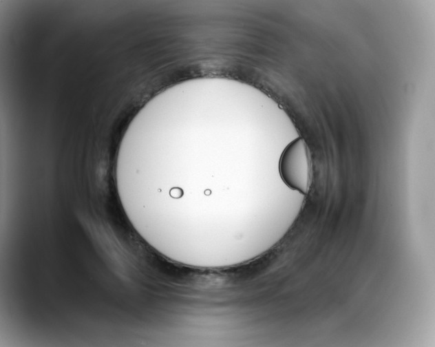 X0000088150698200706111444