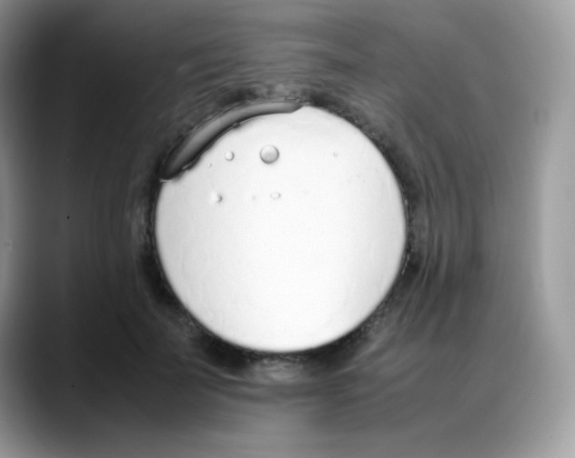 X0000088150699200706111444