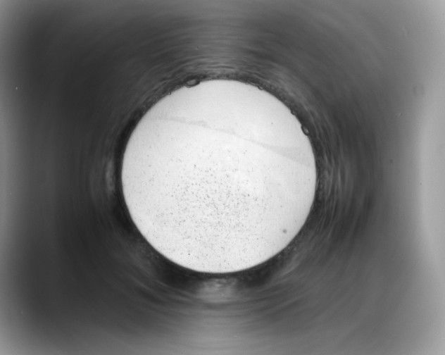 X0000088150700200706111444