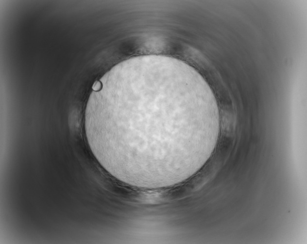 X0000088150701200706111444