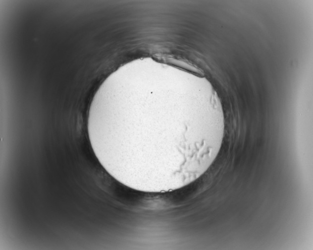 X0000088150704200706111443