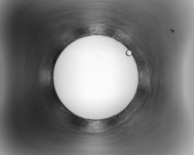 X0000088150705200706111443