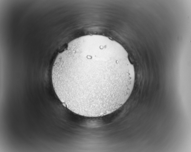 X0000088150708200706111443