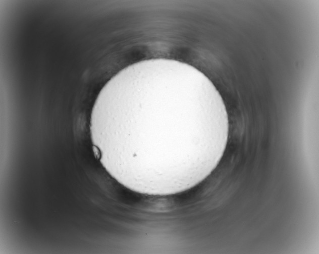 X0000088150711200706111443