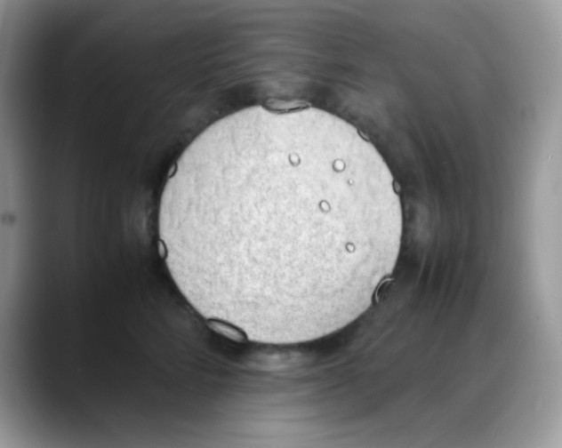 X0000088150712200706111443