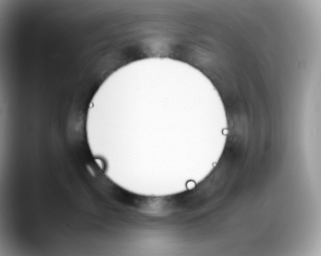 X0000088150717200706111443