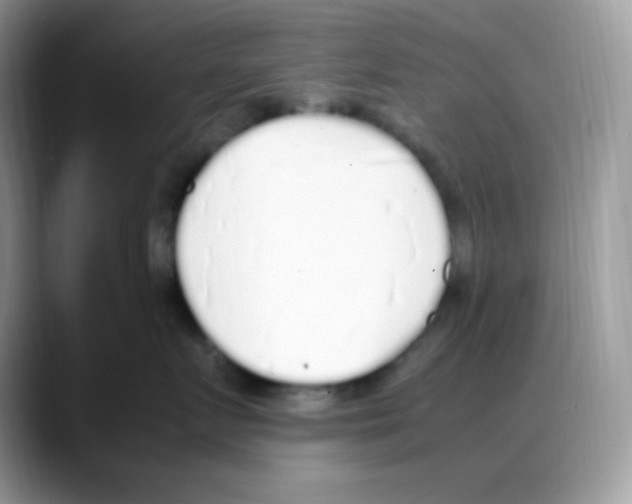 X0000088150719200706111443