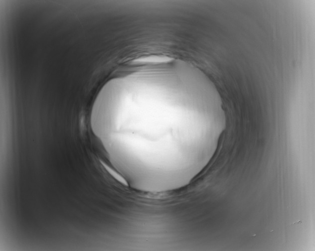 X0000088150720200706111443