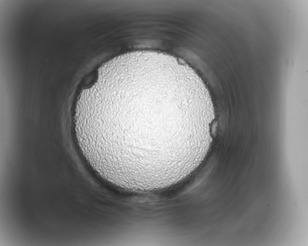 X0000088150721200706111443