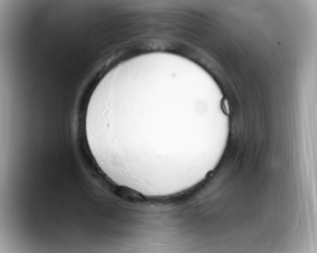 X0000088150722200706111443