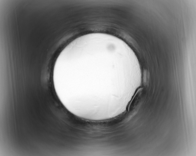 X0000088150723200706111443