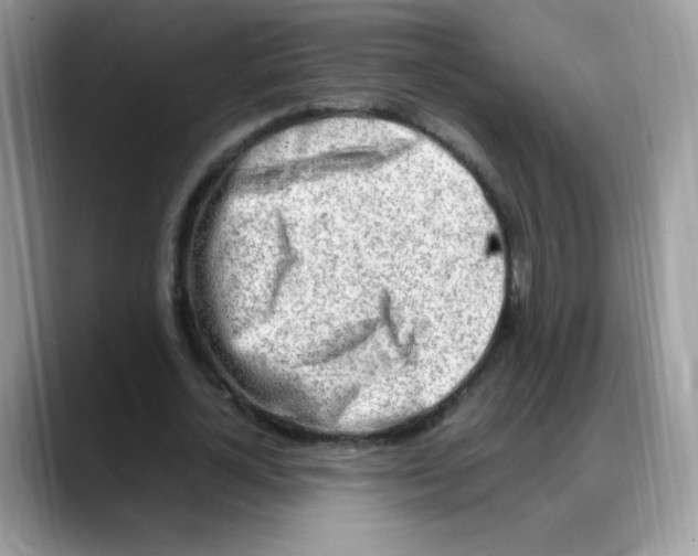 X0000088150724200706111443