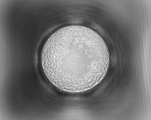 X0000088150726200706111443