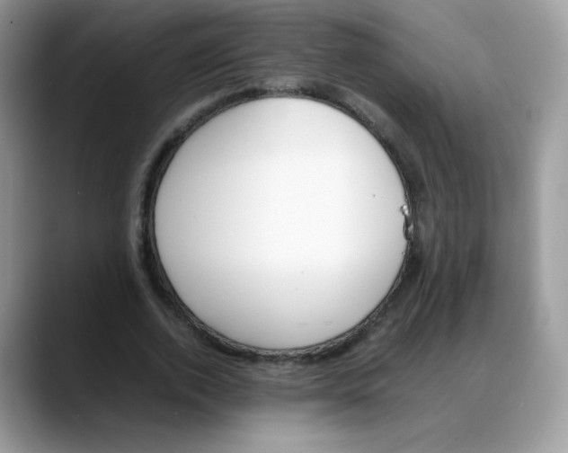 X0000088150728200706111443