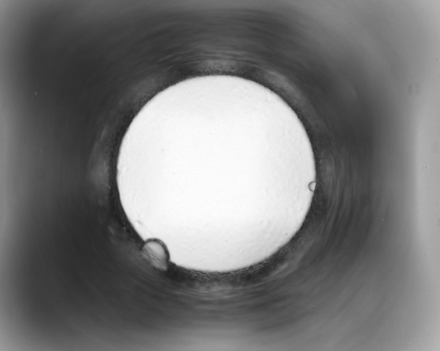 X0000088150729200706111443