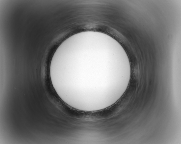 X0000088150732200706111443