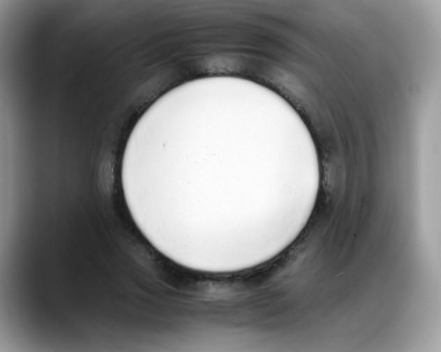 X0000088150733200706111443