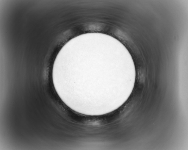 X0000088150735200706111443