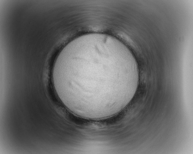 X0000088150736200706111443