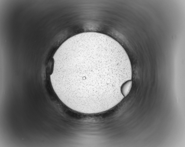 X0000088150738200706111443