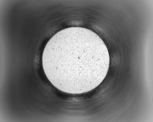 X0000088150739200706111443