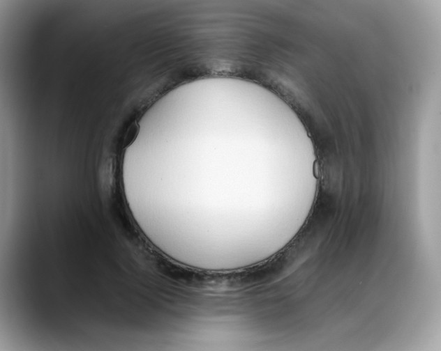 X0000088150740200706111443