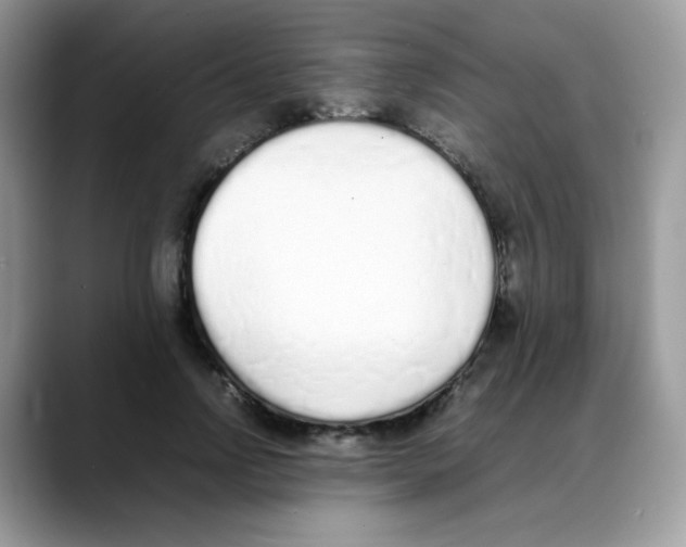 X0000088150742200706111443