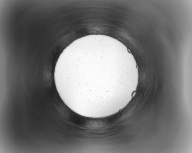 X0000088150749200706111443