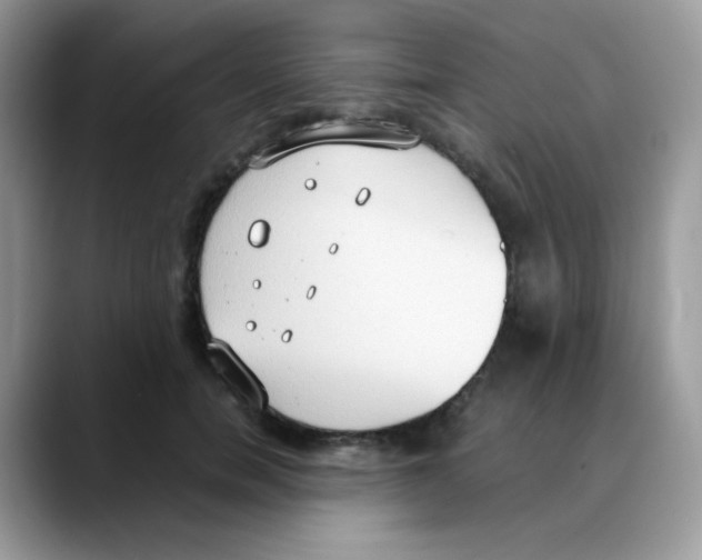 X0000088150750200706111443