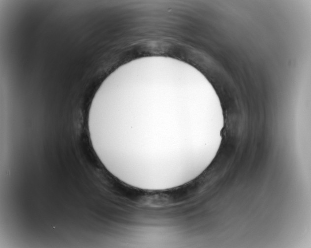 X0000088150752200706111443