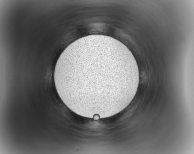 X0000088150753200706111443