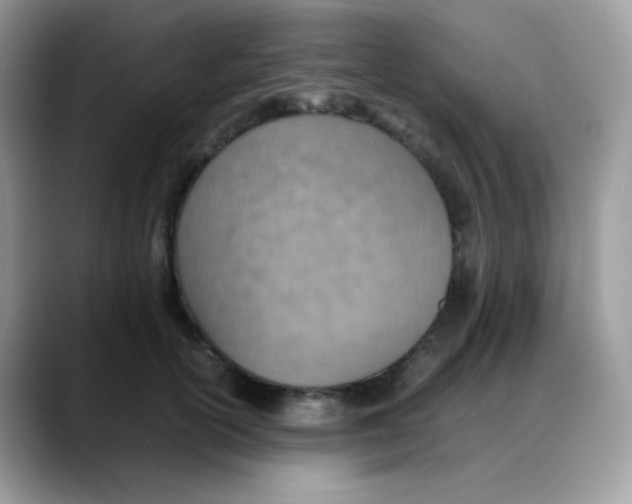 X0000088150754200706111443