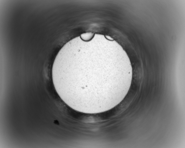 X0000088150755200706111443