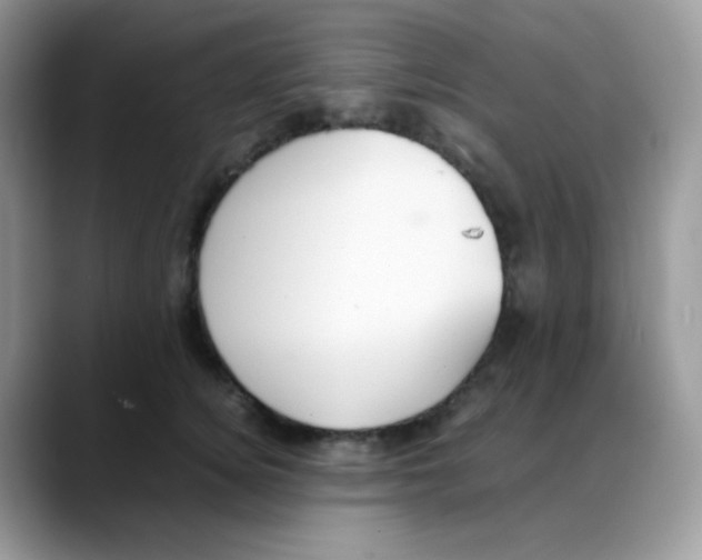 X0000088150756200706111443