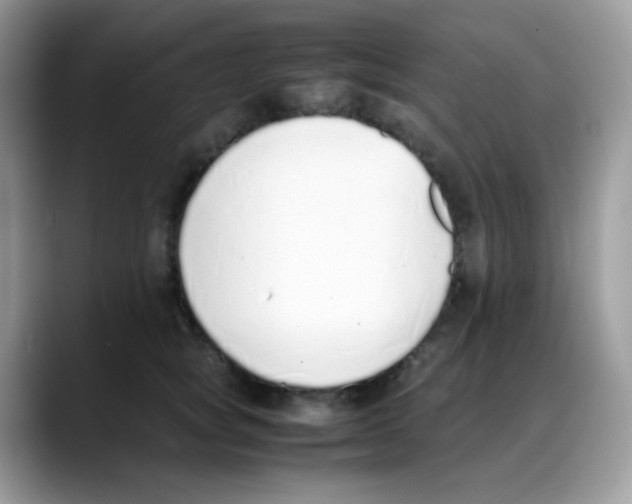 X0000088150757200706111443