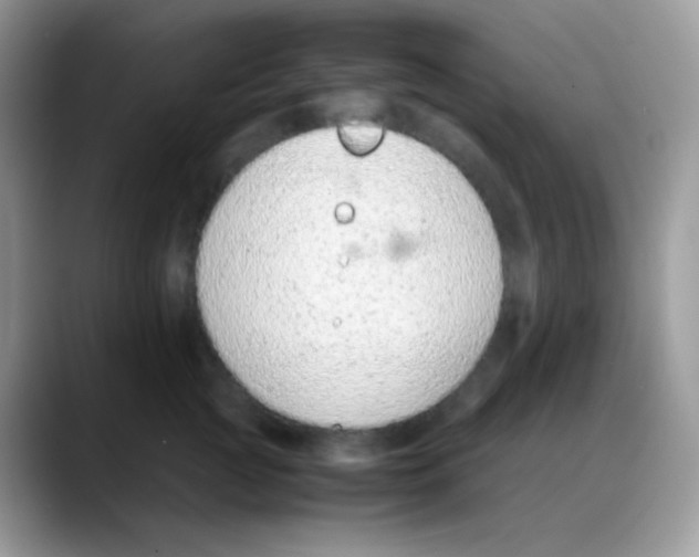 X0000088150761200706111443