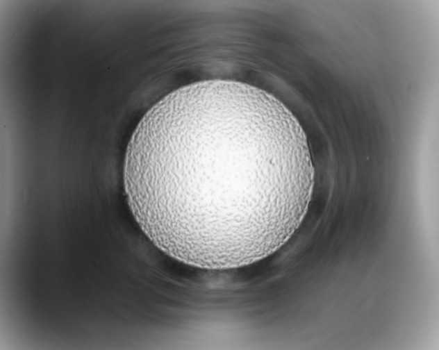 X0000088150762200706111443