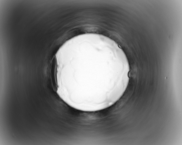 X0000088150763200706111443