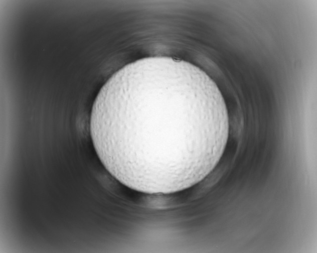 X0000088150766200706111443