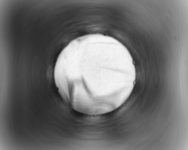 X0000088150767200706111443