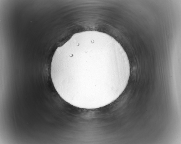 X0000088150772200706111443