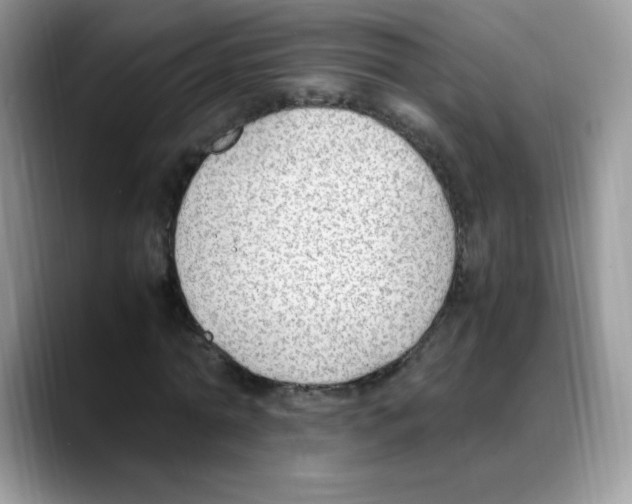 X0000088150774200706111443