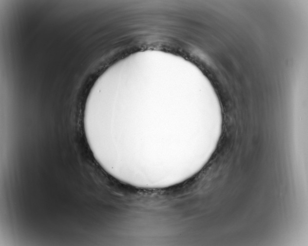 X0000088150775200706111443